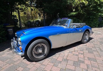 Austin Healey Andere 149.250 km 48.950 &euro; Mettmann 40822