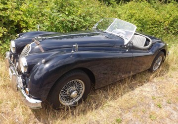 Jaguar XK 16.642 km 85.500 &euro; Mettmann 40822